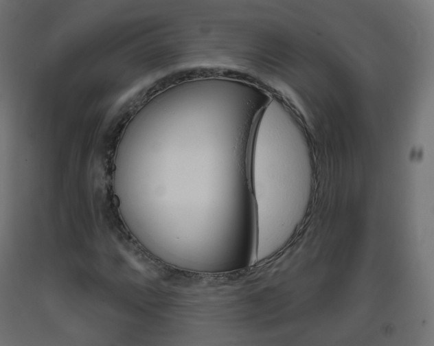 X0000093401064200710120851