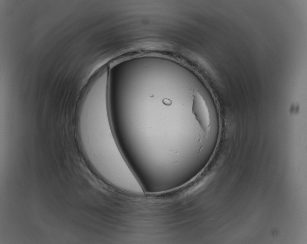 X0000093401065200710120851