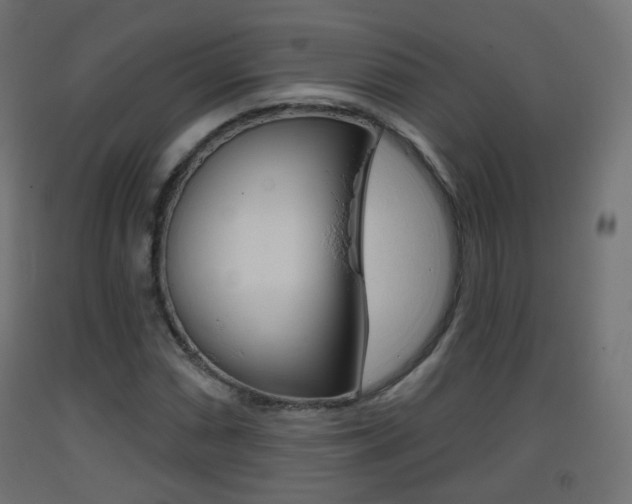 X0000093401066200710120851