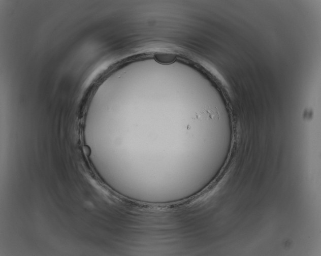 X0000093401067200710120851