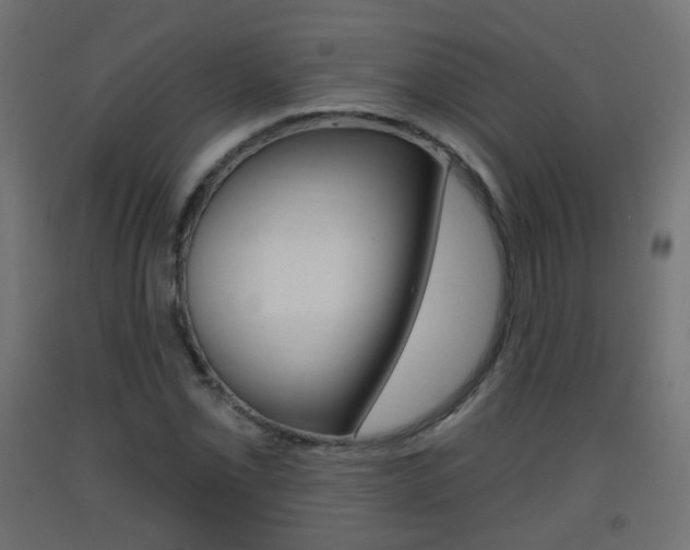 X0000093401069200710120851