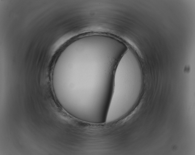 X0000093401070200710120851