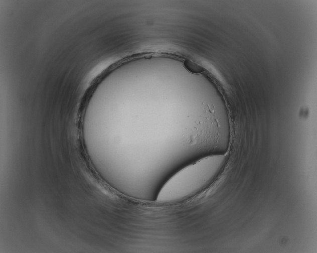 X0000093401071200710120851