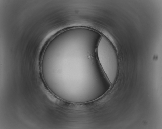X0000093401072200710120851