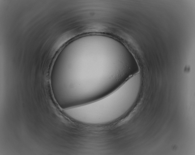 X0000093401073200710120851
