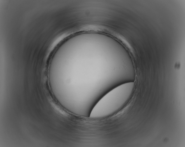 X0000093401075200710120851
