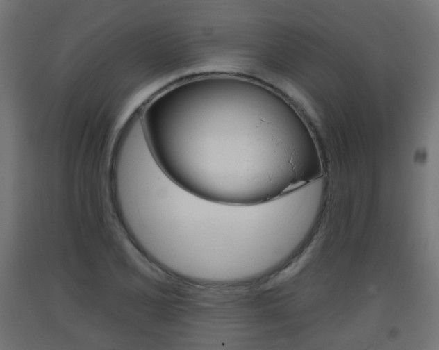 X0000093401077200710120851