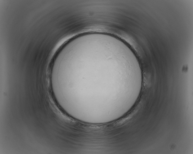 X0000093401078200710120851