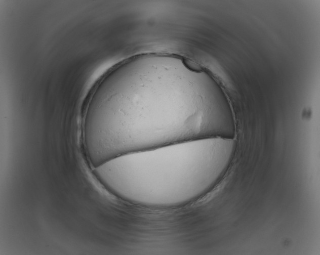 X0000093401079200710120851