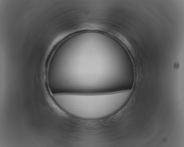 X0000093401080200710120851