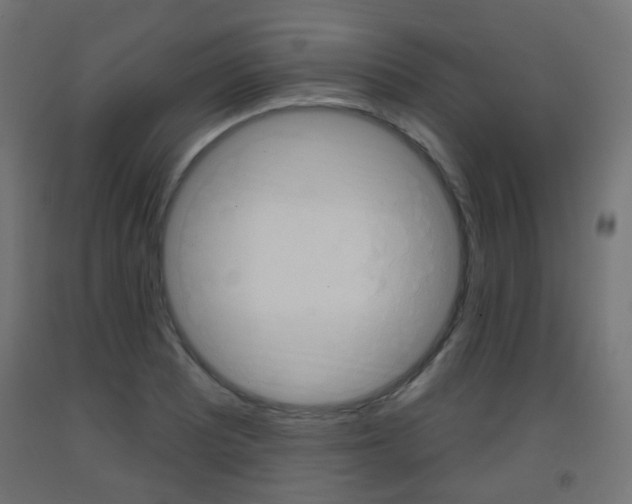 X0000093401081200710120851
