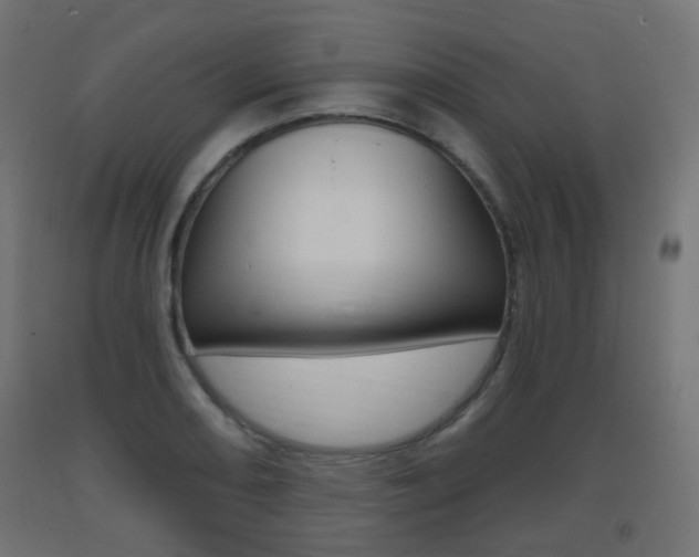 X0000093401082200710120851