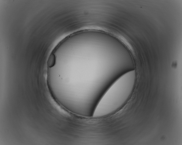 X0000093401084200710120851
