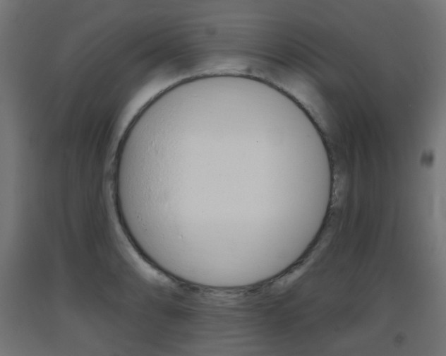 X0000093401086200710120851