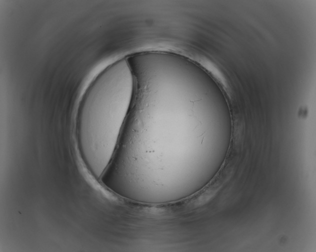 X0000093401088200710120851