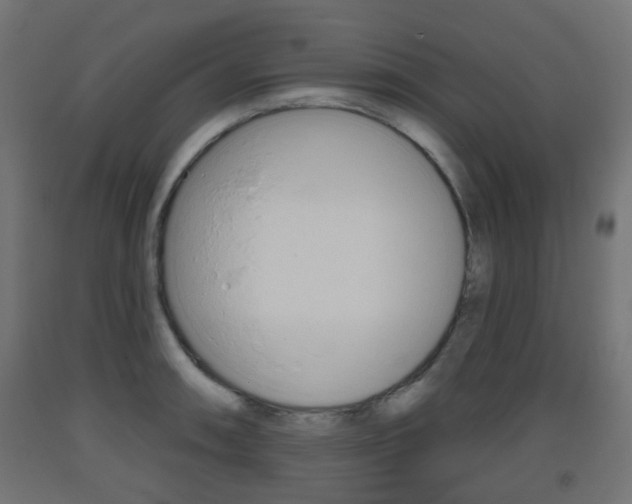X0000093401090200710120851
