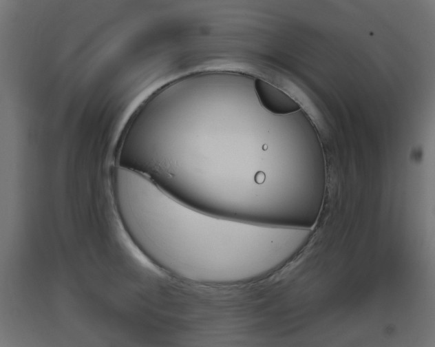 X0000093401092200710120851