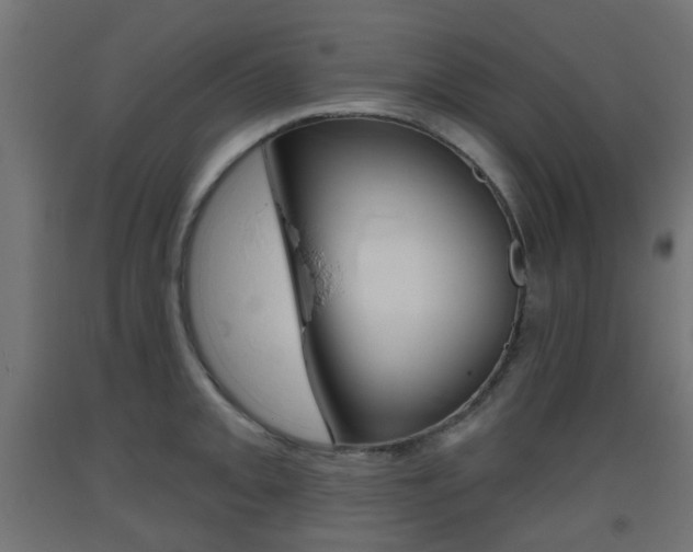 X0000093401093200710120851
