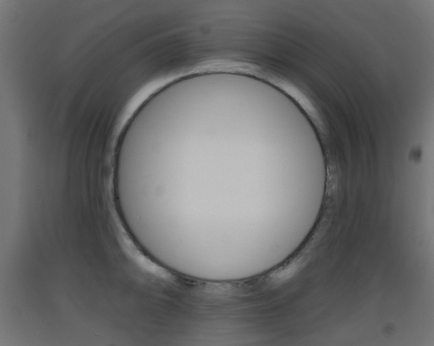 X0000093401094200710120851