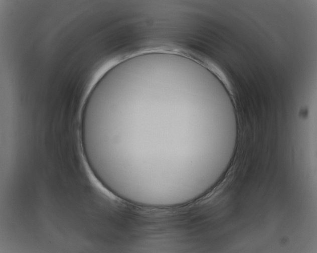 X0000093401095200710120851