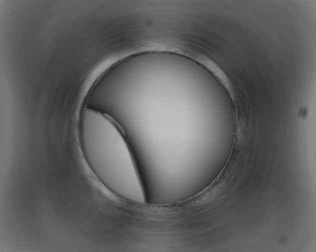 X0000093401096200710120851