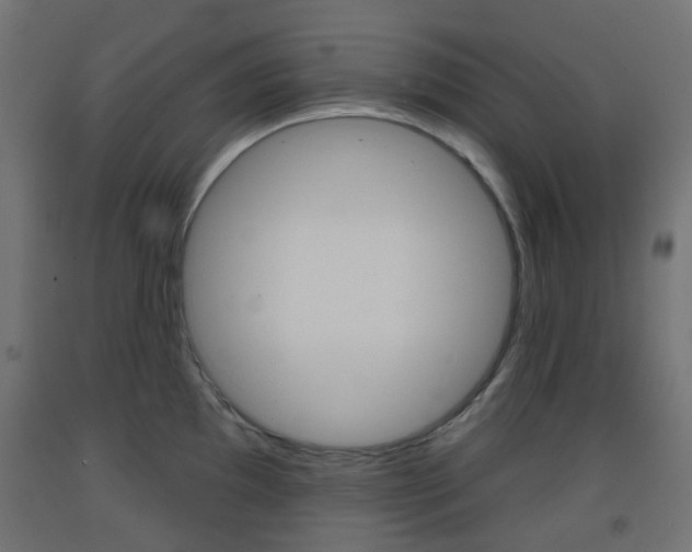 X0000093401097200710120851