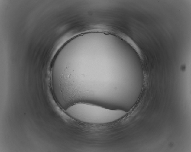 X0000093401099200710120851