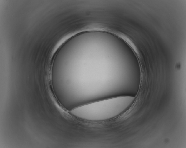 X0000093401101200710120850