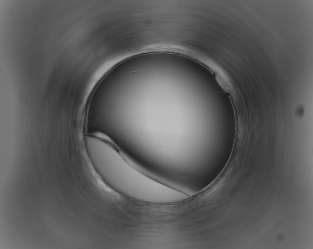 X0000093401102200710120850