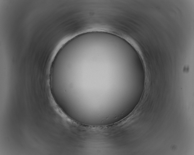 X0000093401104200710120850