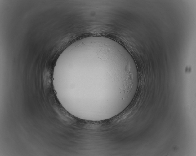 X0000093401106200710120850