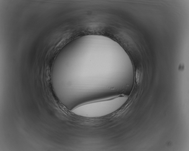 X0000093401107200710120850