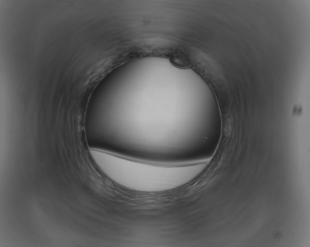 X0000093401108200710120850