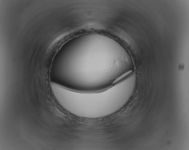X0000093401112200710120850