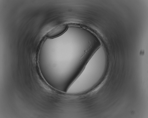 X0000093401113200710120850