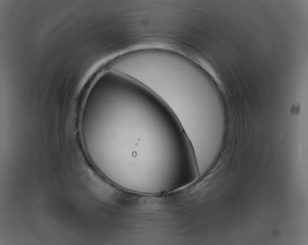 X0000093401116200710120850