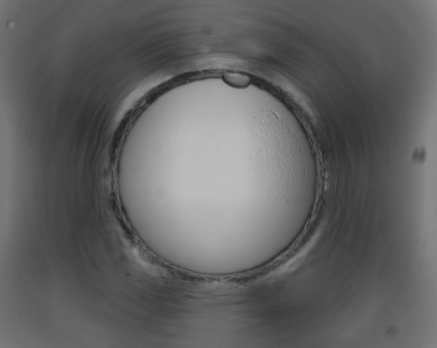 X0000093401117200710120850