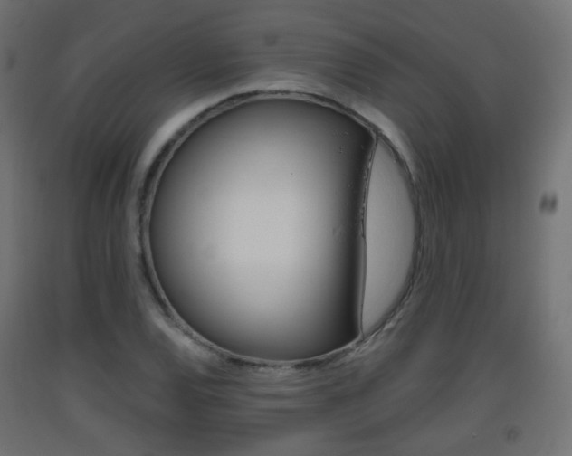 X0000093401120200710120850