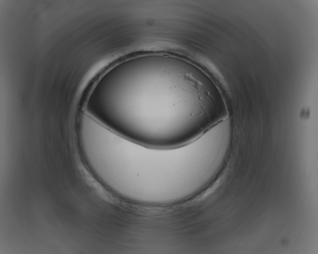 X0000093401122200710120850