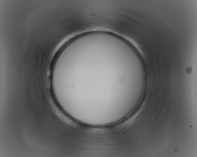 X0000093401126200710120850