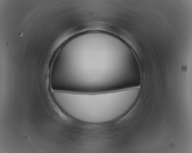 X0000093401127200710120850