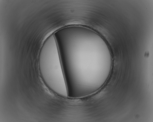 X0000093401129200710120850