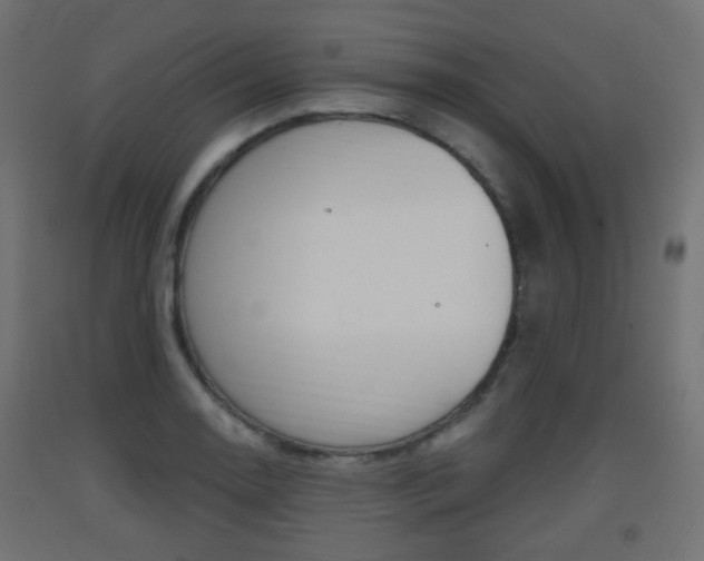 X0000093401130200710120850