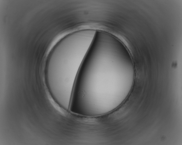 X0000093401131200710120850