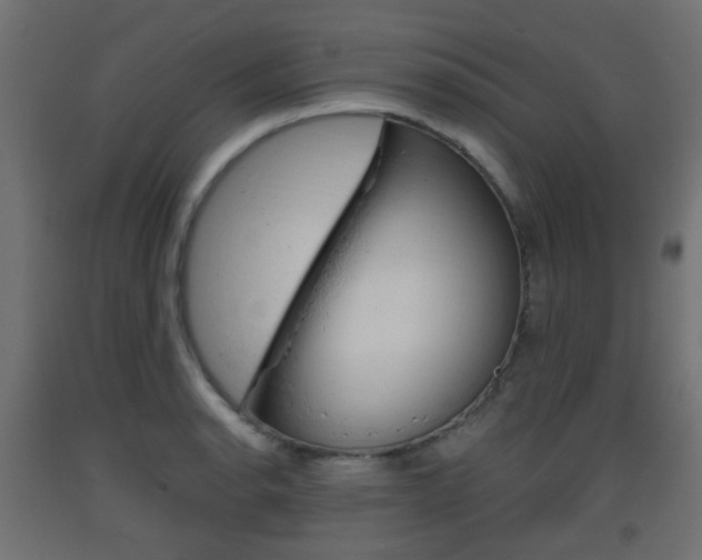 X0000093401134200710120850