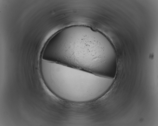 X0000093401135200710120850