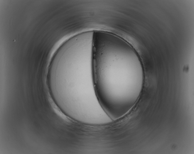 X0000093401136200710120850