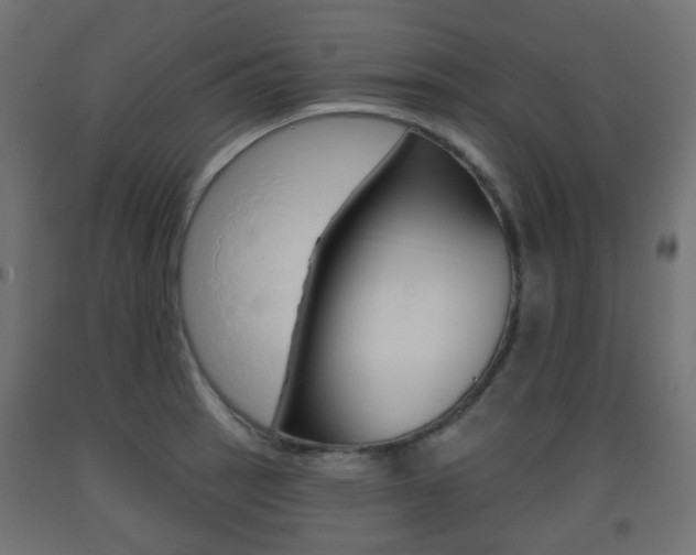 X0000093401137200710120850