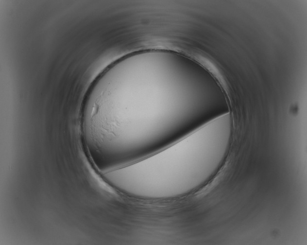 X0000093401141200710120850