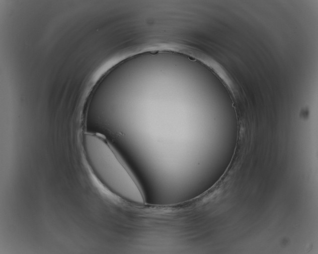 X0000093401143200710120850